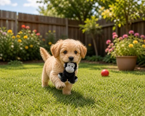 Gorilla Dog Toy w/ Squeaker | Small Plush Gorillas Dogs Toys | 6 Inch Stuffed Squeaky Gorilla Toy for Pets | Ape Dogs Toys | Realistic Squeaky Apes & Gorillas | Small/Medium Breed | Black/Gray | 6"