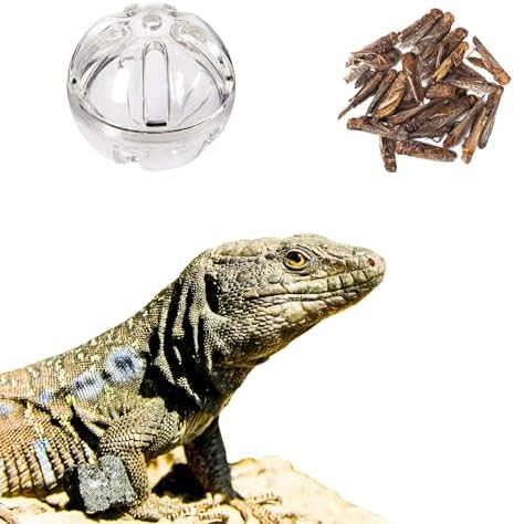 Bearded Dragon Feeder Toy Reptile Foraging Ball Lizard Enrichment Interactive Toy Reptile Terrarium Tank Decor for Lizard,Chameleon Small Animals (3.4 Inch)