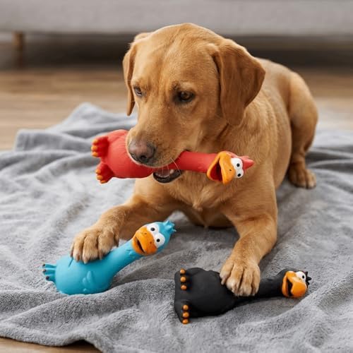 Squeaky Chicken Toy, Latex Rubber Screaming Chicken Toy, Chew Toy, Teething, Stress Relief,for Small Medium Large Dogs, Indoor Outdoor Play(Red)