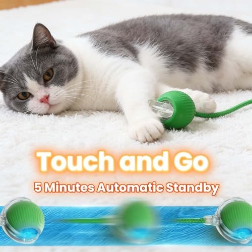 Interactive Rotating Cat Ball Toy, 360 Smart Rolling Ball Electric, Automatic Moving for Cats & Kittens (Pink)