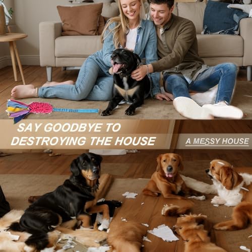 Dog Tug Toy, Durable Bungee Dog Toy with Squeak, Handmade Interactive Training Pull Toy for Puppy Small Medium Large Dogs, Easy to Clean
