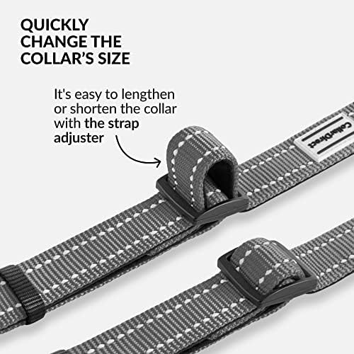 Reflective Dog Collar, Quick-Release Buckle (Grey, 12-16 Inch)