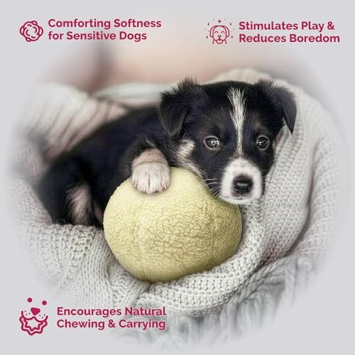 PetLou Dog Fleece Ball Chew Toy, 8"