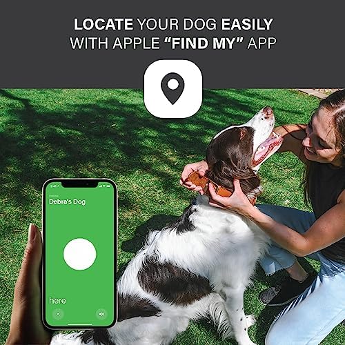 Apple AirTag Leather Dog Collar Smart GPS Collar with AirTag Holder (L, Brown)