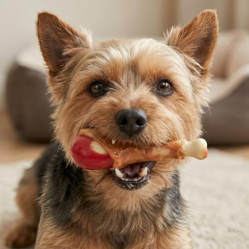Dog Chew Toy Realistic Chicken Leg for Medium Large Dogs