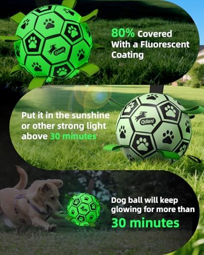QDAN Glow in The Dark Dog Balls, Soccer Balls for Dogs with Straps, 8 Inch