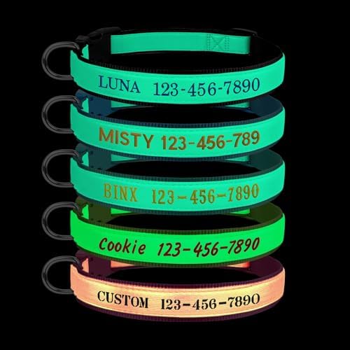 Personalized Dog Collars Glow in The Dark, Custom Embroidered Name & Phone Number Tags, Adjustable Luminous Collar for Small & Large Dogs (Fluorescent Glow)