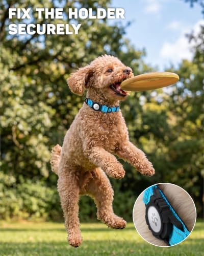 Padded Dog Collar with Waterproof Holder Compatible with Airtag