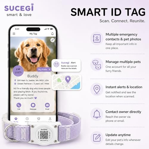 AirTag Dog Collar with QR Code ID, Dog Collar with Air Tag Holder,Purple, M
