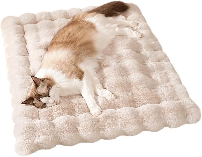 SOMAHE Soft Plush Cat Bed Mat, Machine Washable, Small 23x15 Milky White | Machine Washable + Non-Slip Paw Bottom: soft cat mat stays fluffy and steadier on floors, couches, and cat trees.