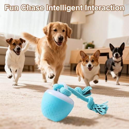 Interactive Dog Toys for Small Dogs – Peppy Pet Ball & Chase Buddy Dog Toy Active Rolling Puppy Toys to Keep Them Busy, Daily Training Interactive Puppy Toys