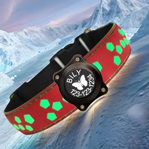 Personalized Light up Black Dog Collar with airtag Holder for Night Walk (RED Collar 15 Modes Lighting, XL(19.7-23.6"))