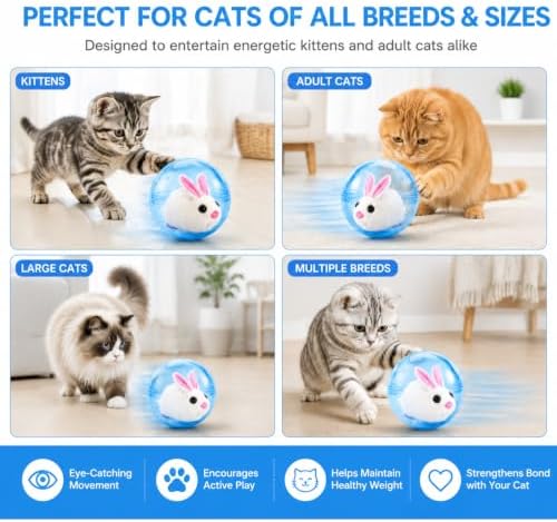 Electric Hamster Ball Cat Toy – Automatic Rolling Animal Pet Rolling Ball, Interactive Hamster Ball Cat Toy for Indoor Cats Exercise and Chase Play (Hamster(Blue))