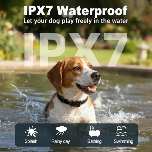 Receiver Collar Only for T800S Remote(Can not be Used Alone) | Anti-Bark & Activity Monitor, 3300Ft Range, Beep/Vibration/Shock Modes, Rechargeable, IPX7 Waterproof, for S/M/L Dogs