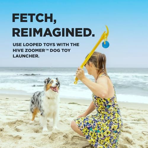 Project Hive Interactive Dog Toys - Set of 2 Looped Balls - Compatible with Hive Zoomer Dog Ball Thrower - Perfect for Fetch and Tug Play - Green and Blue