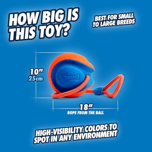 Chuckit! Rope Fetch Dog Toy, Ball on Rope, Durable EVA Rubber, 5.5-in