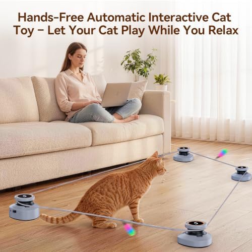 Jripae Interactive Cat Toys for Indoor Cats DIY Multi-Track Chase