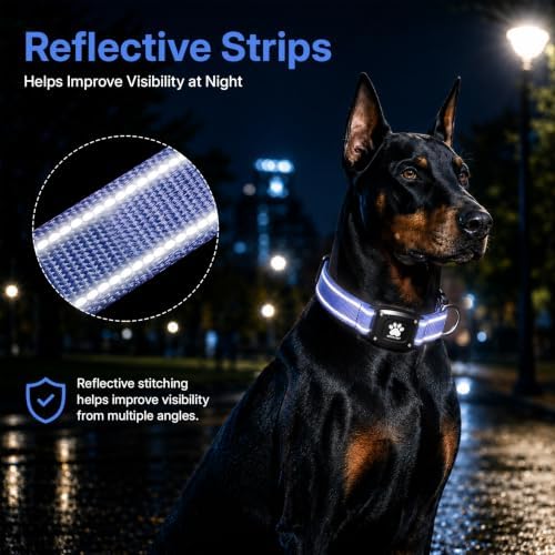 GPS Dog Collar with Tracker, Waterproof, No Monthly Fee, Blue, L | Works with Apple Find My, iOS Only, MFi Certified, No SIM Card, for Large Dogs, Reflective Padded Nylon, Neck 16.5-23.5 in