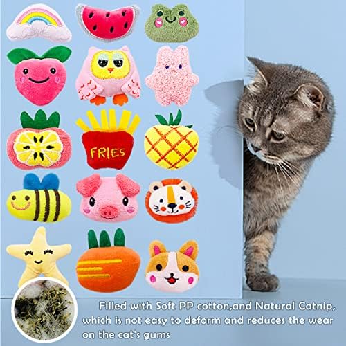 Mini Cat Catnip Toys for Indoor Cats 20 Pack