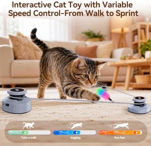 Jripae Automatic Interactive Cat Toys for Indoor Cats with DIY Chase Track