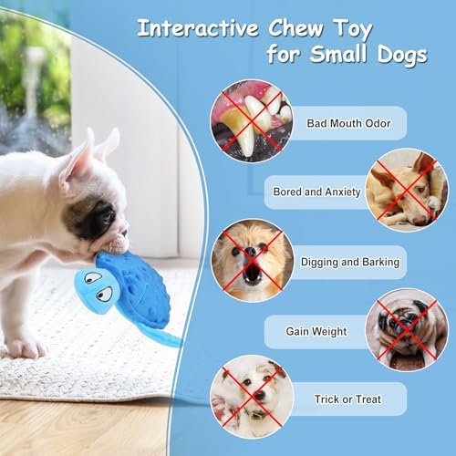 Squeaky Sea Turtle Plush Dog Toy - Durable, No Stuffing (Blue)