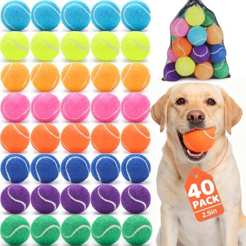 Tennis Balls for Dog 2.5'' Durable Non-Toxic Outdoor Dog Toys Balls with Mesh Bag,Colorful Fetch Toys Balls for Medium Dog (Non Squeaky)