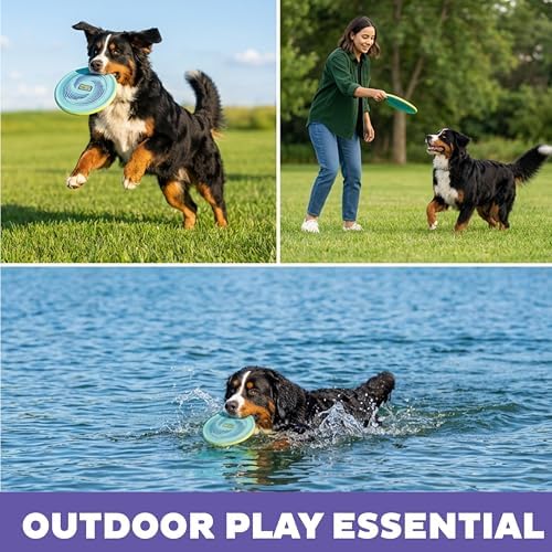 Outward Hound FlyFetch Disc Dog Toy, Aerodynamic for Fetch, Lightweight Foam & Durable Rubber, Floats in Water, All Breeds, 8.3"