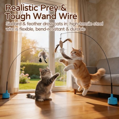 Interactive Cat Toys for Indoor Cats, Auto Cat Toy