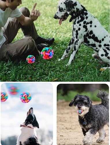 GLOGLOW Rubber Dog Toy Ball, Small Dogs