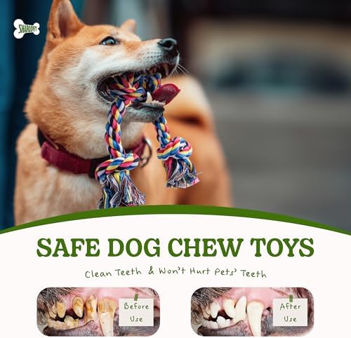 2 Pack Dog Rope Toy for Small Dogs, Durable Cotton Puppy Teething Toys