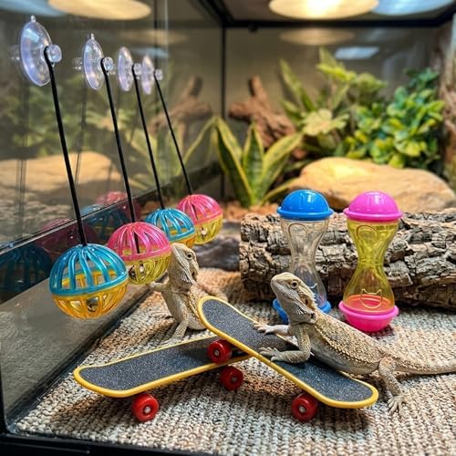 Bearded Dragon Toys, Bearded Dragon Enrichment Toys Set with Feeding Balls and Skateboards, Interactive Lizard Toy Accessories for Small Reptiles and Pets, 8-Piece Habitat Enrichment Kit