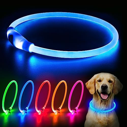 Flashseen LED Dog Collar, USB Rechargeable Glow Lighted up Collar, Blue