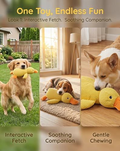 JINTONE Funny Dog Toy,Yellow Squeaky Dog Toy Duck for Dogs(Small Size)