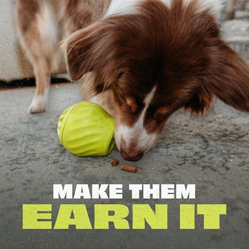 Benebone Pawbler Interactive Treat Dispensing Dog Toy, Small/Medium | Natural Rubber, Slow Feeder, Unpredictable Roll, Easy to Fill & Clean, Dishwasher Safe, Long-Lasting