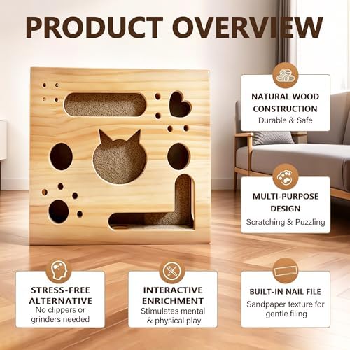 2026 New Model Cat Nail File Enrichment Box, Square