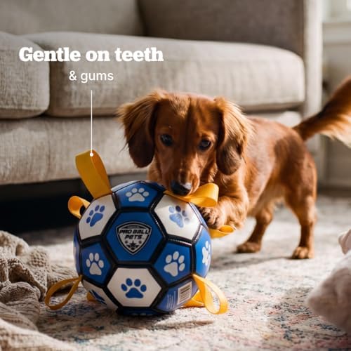 Maccabi Interactive Dog Soccer Ball for Dogs, 6” with Straps & Grab Tabs, Floats on Water, Fetch & Training Toy for Small/Medium Dogs, Herding Breeds, Waterproof Non-Toxic – ProBall Pets – Blue White