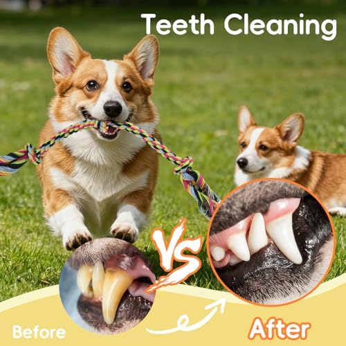 wodoca [4 Pack Dog Rope Toys, Puppy Teething Cotton Knot Chew Rope for Small Medium Dogs, Interactive Tug of War Dog Toys for Boredom, Teeth Cleaning