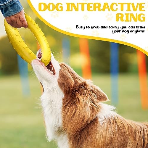 4 Pack 11.81 Inch Dog Ring Toy for Large Medium Dog Training, Colorful