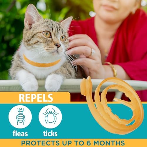 Only Natural Pet EasyDefense Non-Toxic Flea & Tick Cat Collar. Single Collar Protects for 3 Months(Pack of 3)