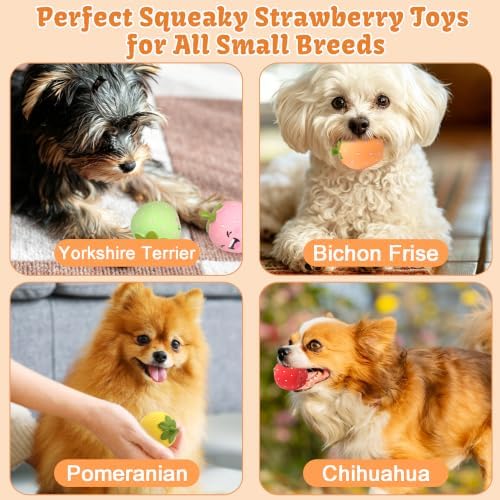 Squeaky Dog Toys Strawberry, 2 inch Latex Interactive Chew Toy for Teething Puppies Small/Tiny Dogs Breeds Entertainment