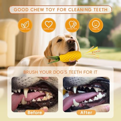 Pineapple Dog Toy for Aggressive Chewers, Tough Rubber