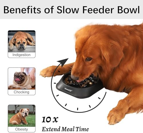 MateeyLife 1-Pack Slow Feeder Dog Bowls, 2 Cups, Dog Puzzle Feeder Bowl