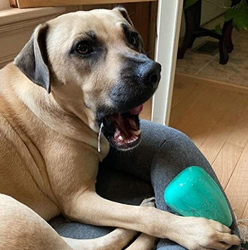 Chew King by Mammoth Premium Treat Dispensing Dog Toy, Durable Natural Rubber Chew Toy, Safety Air Vent, Interactive Enrichment Toy for Aggressive Chewers, XL - For Dogs 40-75lbs - Pack of 2 - Teal