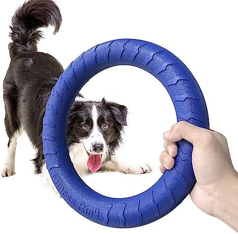 Blue Indestructible Dog Toys for Aggressive Chewers Flying Discs for Medium/Large Breeds Dog Training Ring,