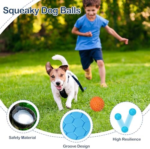 2 Pack Indestructible Squeaky Dog Balls for Aggressive Chewers, Interactive Dog Toys for Teething, Relieving Anxiety. Chew Toy for Large, Medium Breeds, Outdoor Rubber Balls.
