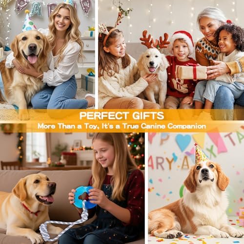Dog Chew Toys for Aggressive Chewers, Multiple Textures & Rope, ndestructible Tough Durable Interactive Dog Toys, Puppy Chew Toys for Teething， The Large Blue Circle