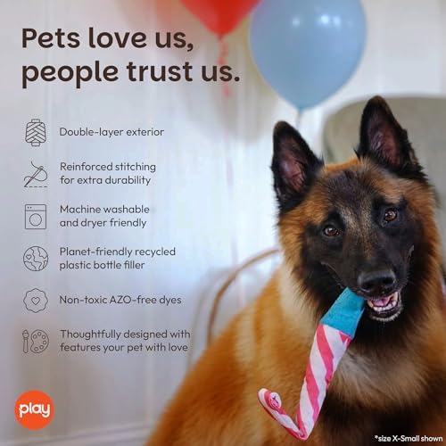 P.L.A.Y. Cute Plush Dog Toys - Birthday Party Themed Durable Squeaker Chew Toy, Great for Puppies & Small, Medium, Large Dogs - Machine Washable, Recycled Materials (Raise the Woof Party Horn, Medium)