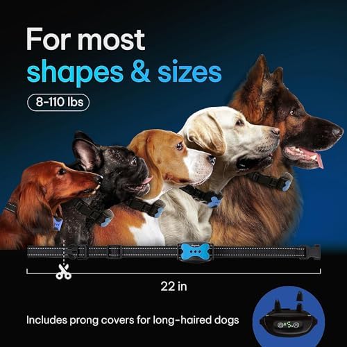 Dogrook Humane No Shock Rechargable Beep & Vibration Bark Collar for Dogs