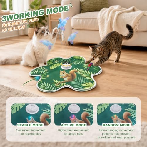 Interactive Cat Toy Mat, Rechargeable Hide & Seek Feather Toy