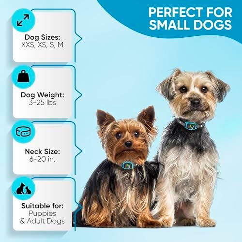 3 Pack Tiny Bark Collar for Small Dogs 5-15 lbs and Puppies - No Shock Anti Barking Collar - Rechargeable Smart Collar for Dog Training with 7 Sensitivity Levels and 3 Beep&Vibration Modes